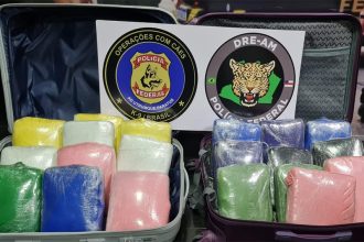 Maconha estava embalada em plástico no formato de tabletes (Foto: PF/Divulgação)
