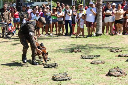 Cães treinados para a guerra são atrações no evento em Manaus (Foto: CMA/Divulgação)