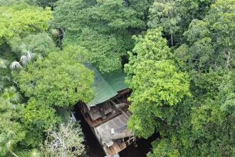 Draga de garimpo ilegal no Amazonas estava escondida sob árvores Foto: CMA/Divulgação)