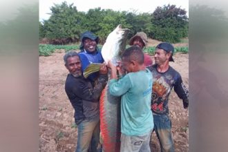 Amigos exibiram pirarucu gigante pescado em lago na Bahia (Imagem: TV UOL/Reprodução)