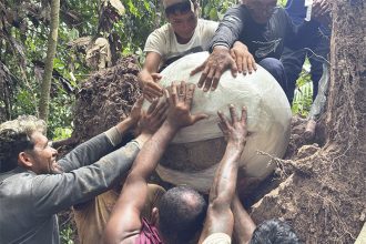 Arqueólogos protegeram urna para retirar do local onde estavam enterradas (Foto: Geórgea Holanda/Instituto Mamirauá)
