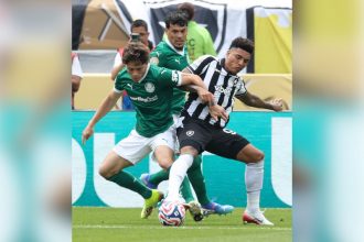 Augustín Giay em disputa de bola com Igor Jesus: Palmeiras venceu e eliminou o Botafogo (Foto: Cesar Greco/Palmeiras/by Canon)