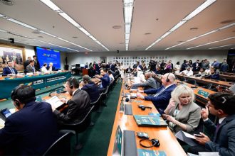Fórum Parlamentar do Brics reúne mulheres dos países membros em Brasília (Foto: Saulo Cruz/Agência Senado)