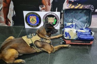 Cão treinado para farejar drogas encontrou a maconha em mala (Foto: PF/Divulgação)