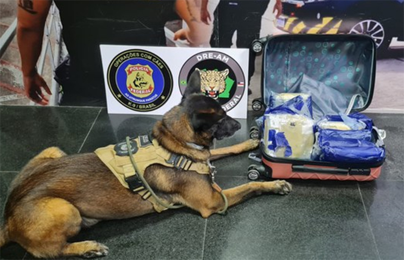 Cão treinado para farejar drogas encontrou a maconha em mala (Foto: PF/Divulgação)
