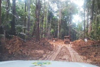Ipaam encontrou área de floresta desmatada sem autorização (Foto: Ipaam/Divulgação)