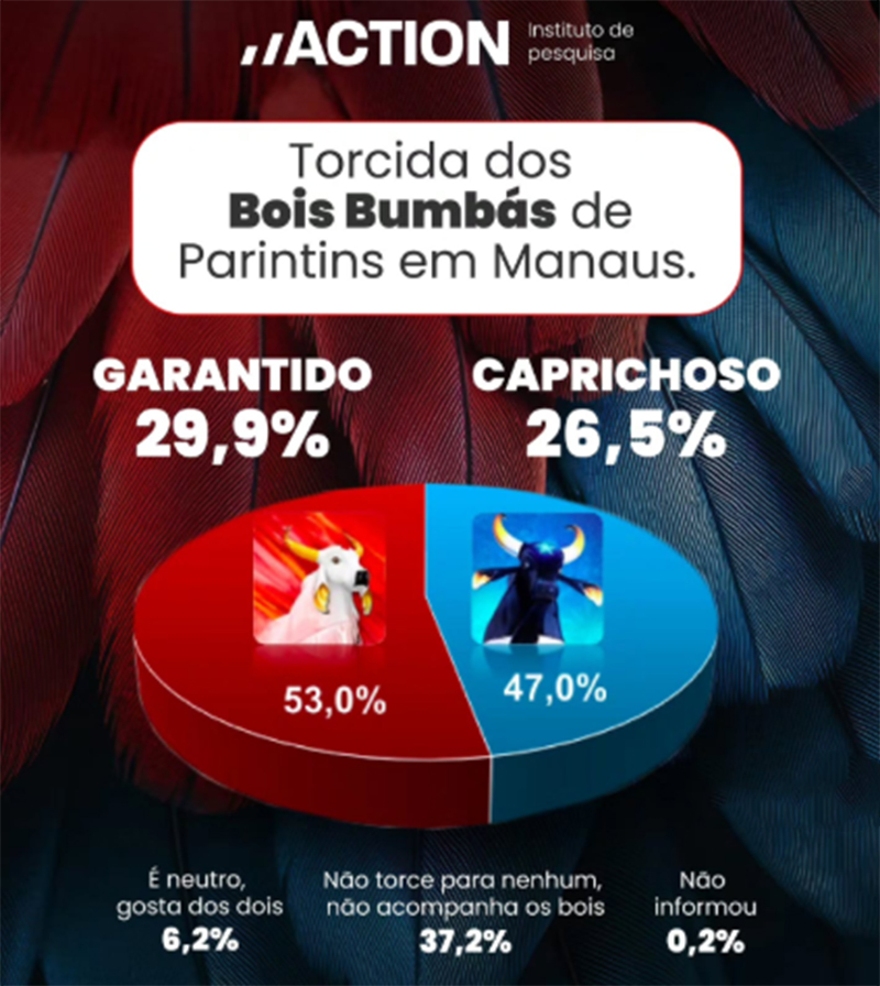Gráfico sobre torcida dos bois Caprichoso e Garantido