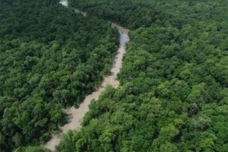 Trecho do Rio Caeté na Reserva Extrativista Marinha de Caeté-Taperaçu: área de manguezal (Foto: Fernando Frazão/ABr)