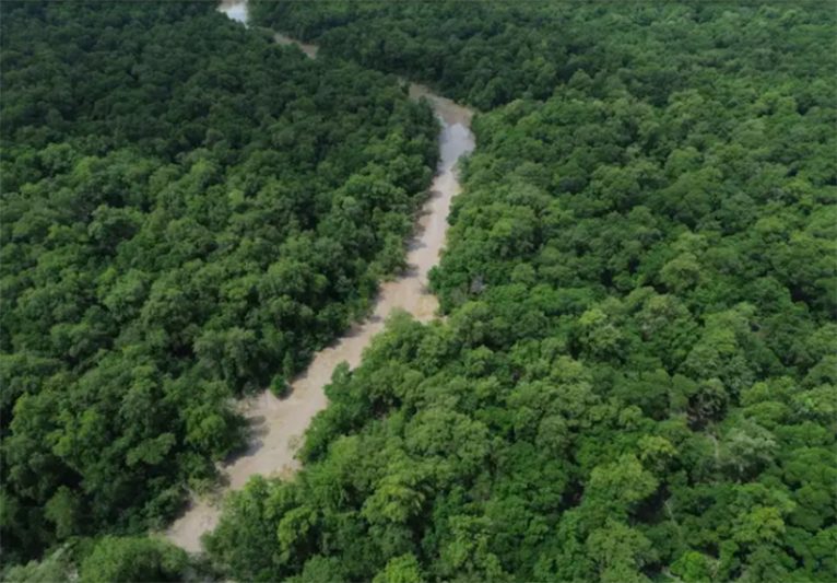 Trecho do Rio Caeté na Reserva Extrativista Marinha de Caeté-Taperaçu: área de manguezal (Foto: Fernando Frazão/ABr)