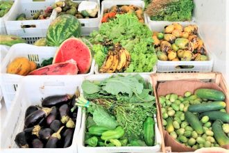 hortifruti no Amazonas