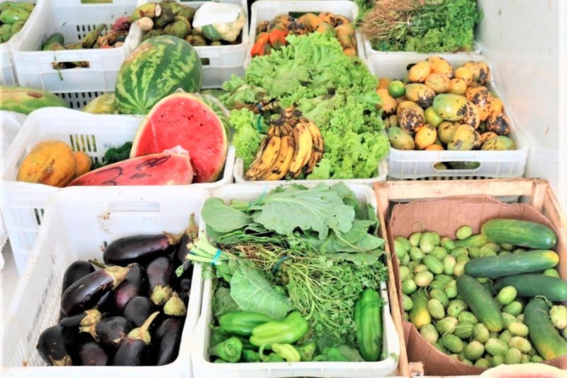 hortifruti no Amazonas