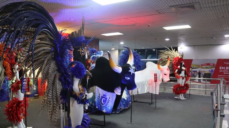 exposição dos bumbás