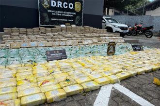 Uma tonelada de meia de drogas, entre cocaína e maconha tipo skunk, foi apreendida no Rio Solimões (Foto: PC-AM/Divulgação)