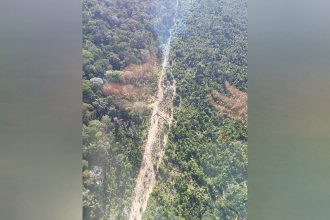 Ramal aberto em área de floresta na BR-319: Ibama alerta sobre uso para extração ilegal de madeira (Foto: Ibama/Divulgação)