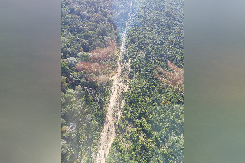 Ramal aberto em área de floresta na BR-319: Ibama alerta sobre uso para extração ilegal de madeira (Foto: Ibama/Divulgação)