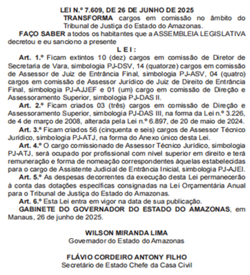 Cargos comissionados lei