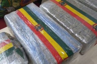 Maconha skunk foi aprendida durante a prisão do casal; mulher é reincidente no crime. (Foto: Reprodução/PC-AM)