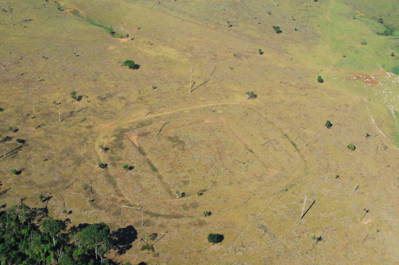 Geoglifo no sítio arqueológico piloto, em Rio Branco (Foto: Edison Caetano/Divulgação)