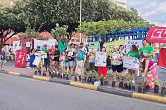 Manifestantes protestaram contra PL da Devastação e distribuição panfletos e mudas de plantas em Parintins (Foto: Floriano Lins/Divulgação)