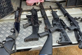 Mulher guardava armas de grosso calibre em casa (Foto: PC-AM/Divulgação)