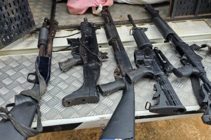 Mulher guardava armas de grosso calibre em casa (Foto: PC-AM/Divulgação)