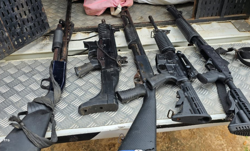 Mulher guardava armas de grosso calibre em casa (Foto: PC-AM/Divulgação)