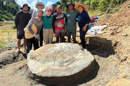 Pesquisadores comemoraram achado de fóssil de tartaruga gigante (Foto: Divulgação)