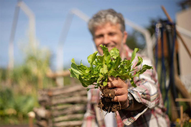 Programa de crédito é destinado ao pequeno produtor rural (Foto: MIDR/Divulgação)
