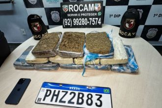 Maconha tipo skunk e placa de carro aprendidas com motorista (Foto: PMAM/Divulgação)