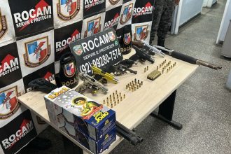 Entre as armas estão pistolas e escopetas (Foto: Divulgação/PM-AM)