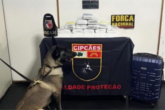 Durante as buscas, a cadela policial Athenas sinalizou a presença de entorpecentes (Foto: Divulgação/PMAM)