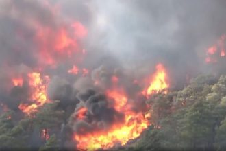 Incêndio em floresta da Turquia: fogo mais intenso se deve à mudanças climáticas, diz estudo (Imagem: G1/YouTube/Reprodução)