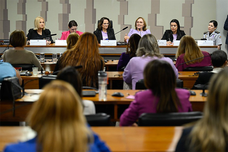 Debate no Senado sobre violência contra a mulher reuniu senadoras e representantes de entidades civis (Foto: Andressa Anholete/Agência Senado)