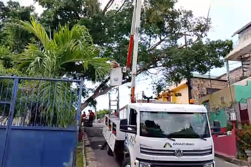 Parte da árvore tombou e galhos atingiram cabos de energia elétrica (Foto: AM ATUAL)
