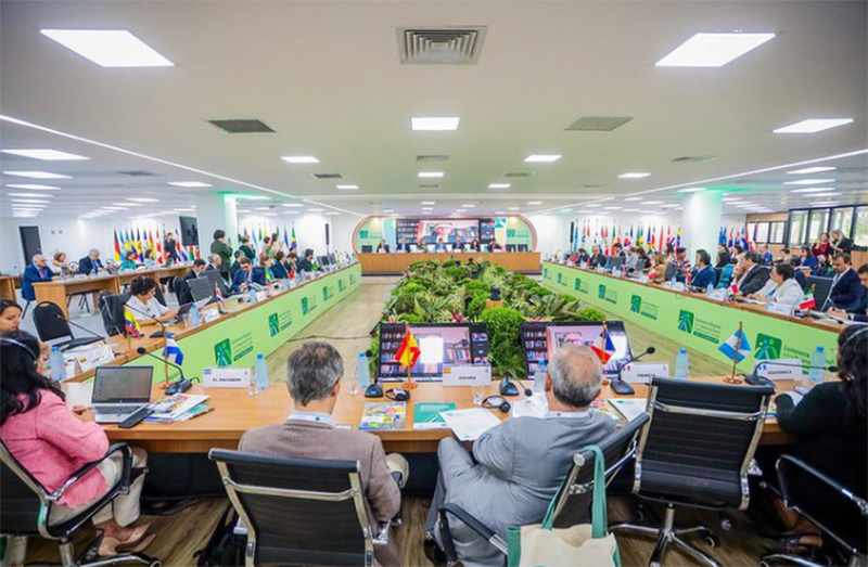 Representantes de países da América Latina e Caribe reunidos em Brasília: debate sobre programas sociais (Foto: Roberta Aline/MDS)