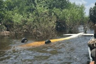 Piloto foi detido e a aeronave ficou submersa a cerca 30 km de Tefé (Foto: Divulgação)