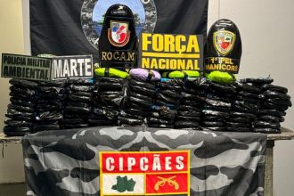 Ao todo, foram apreendidos 102 tabletes de pasta-base de cocaína (Foto: Divulgação/SSP-AM)