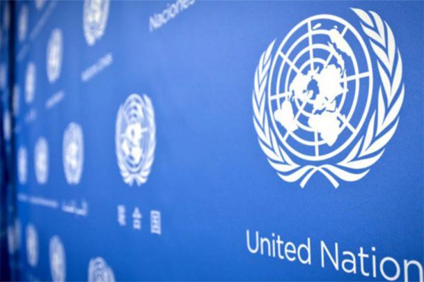 ONU manifestou preocupação com falta de visto à delegação brasileira (Foto: ONU/Divulgação)