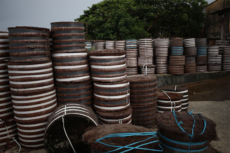 Piaçava é usada na fabricação de vassouras (Foto: Diego Peres e Lucas Silva)