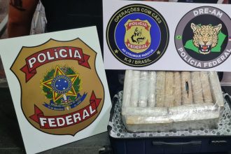 Tabletes de maconha apreendidos com passageiro (Foto: PF/Divulgação)