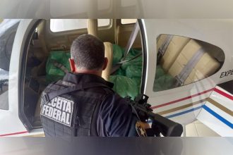 Agente da Receita Federal inspeciona carga de iPhones dentro de avião (Foto: Receita Federal/Divulgação)