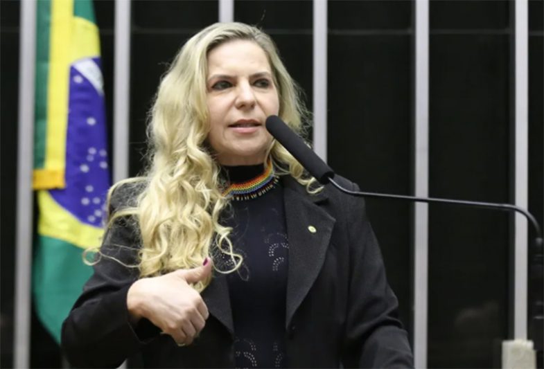 Deputada Luziane Lins foi detida pela Marinha de Israel em barco (Foto: Kayo Magalhães/Agência Câmara)