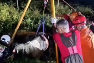 O caso aconteceu em Parintins (a 369 quilômetros de Manaus) (Foto: Divulgação)