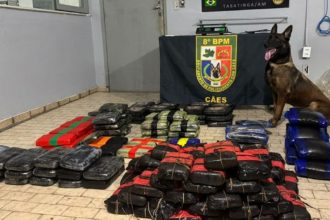 A apreensão ocorreu durante uma fiscalização de rotina no porto de Tabatinga (Foto: Divulgação)