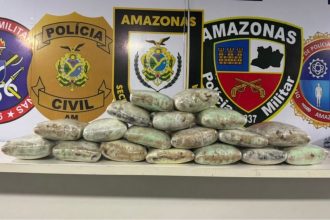 Homem de 21 anos foi preso por tráfico de drogas e 22,7 quilos de maconha do tipo skunk (Foto: Divulgação)