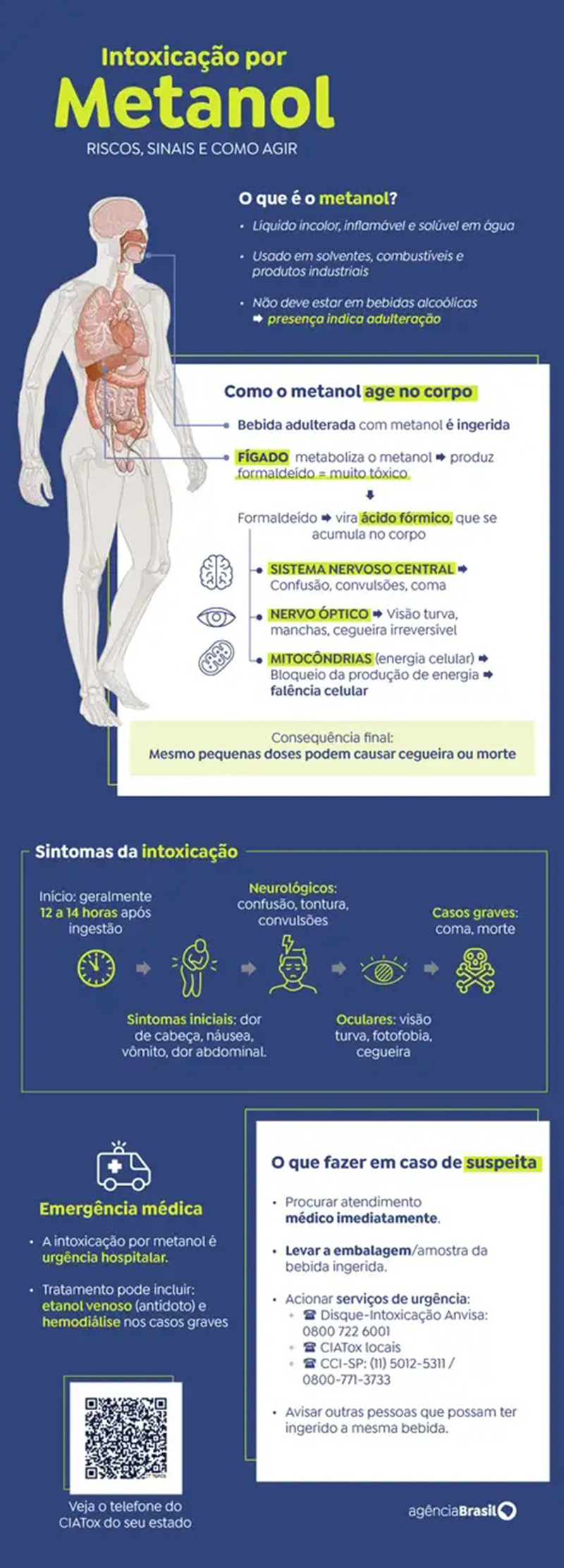 Gráfico sobre contaminação por metanol