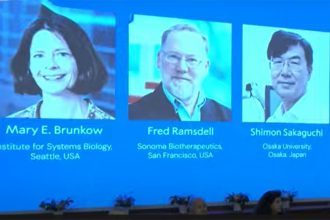 Mary Brunkow, Fred Ramsdell e Shimon Sakaguchi ganharam o Prêmio Nobel de Medicina (Imagem: YouTube/Reprodução)
