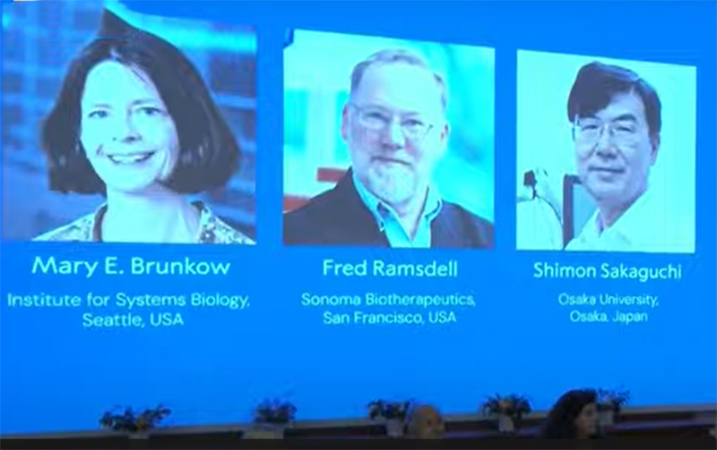 Mary Brunkow, Fred Ramsdell e Shimon Sakaguchi ganharam o Prêmio Nobel de Medicina (Imagem: YouTube/Reprodução)