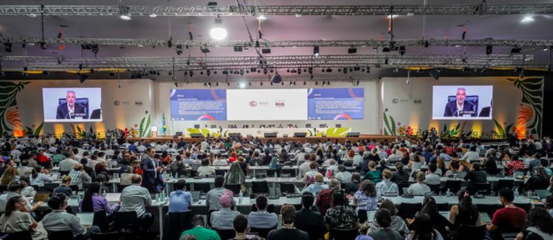 Reunião final da COp30: acordo sem inclui combustível fóssil na transição energética (Foto: Rafa Neddermeyer/COP30 Brasil Amazônia/PR)