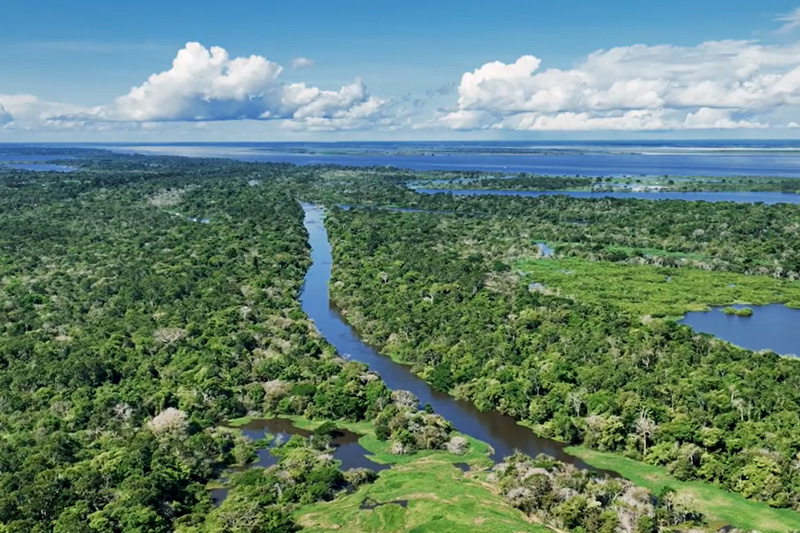 Floresta amazônica: maioria dos brasileiros não conhece a região (Imagem: YouTube/Reprodução)